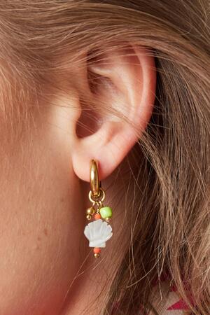 Little sea shell earrings - Beach collection Gold Stainless Steel h5 Picture3
